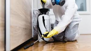 Reliable Omaha, TX Pest Control Solutions